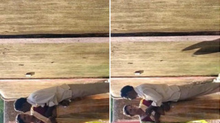 Desi man secretly films his neighbors' steamy rendezvous