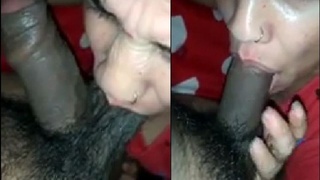 Desi bhabhi's real MMS of oral sex