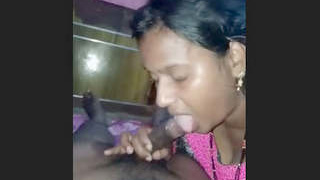 Desi bhabhi's oral skills in part one of the video