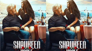 Shawkin's uncle: Episode 3, a steamy gay video