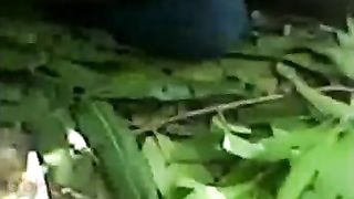 Desi MMS video of a young couple having sex in the outdoors