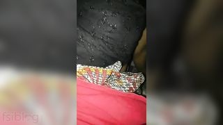 Small-town bhabhi reveals her hairy pussy in a video