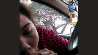 A cute single girl gives a blowjob in the car