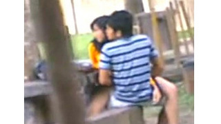 Desi college students fucking in a park recorded by a hidden camera